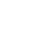 Ugly Pizza